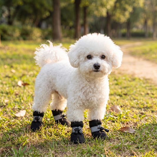 Zapatos Para Macota | Cuida Sus Patitas Con Amor