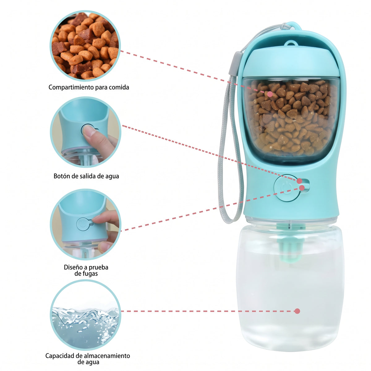 Botella de Agua + Comedero Portátil 2 en 1