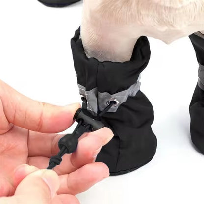 Zapatos Para Macota | Cuida Sus Patitas Con Amor