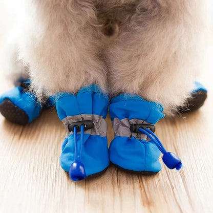 Zapatos Para Macota | Cuida Sus Patitas Con Amor