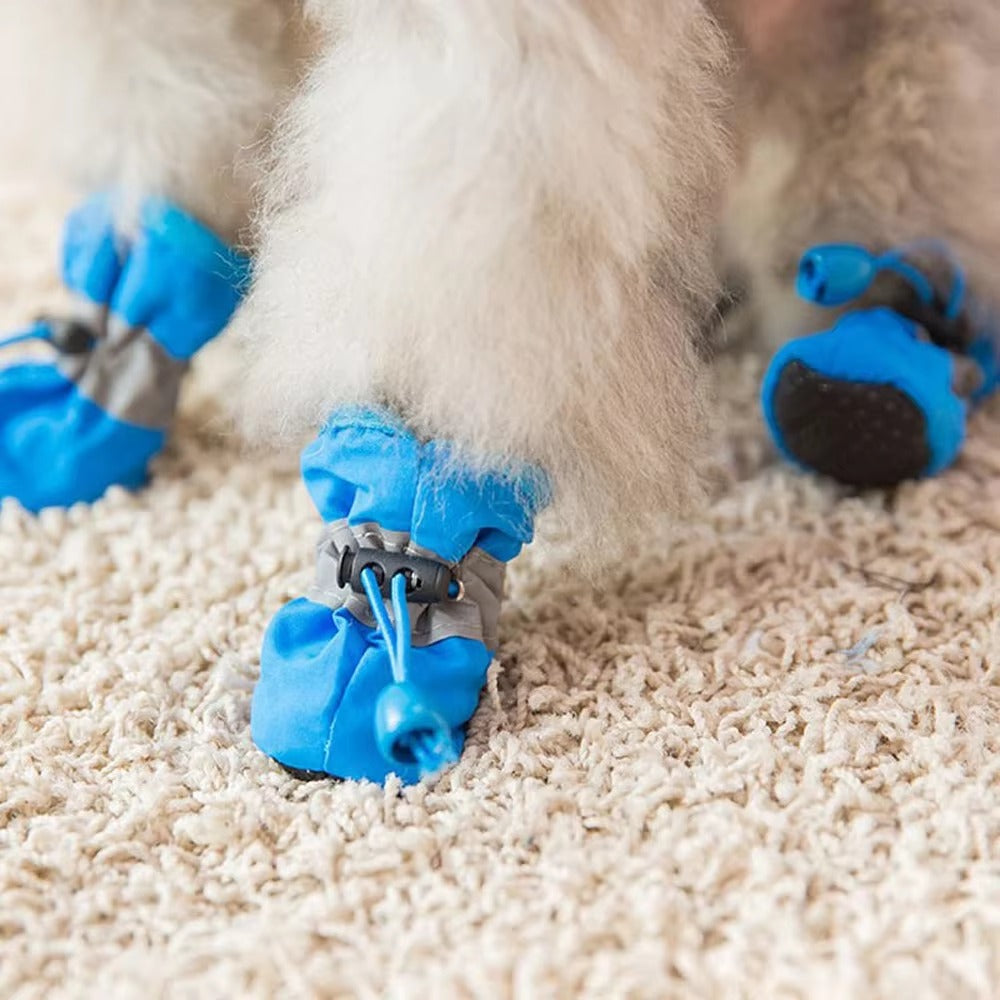 Zapatos Para Macota | Cuida Sus Patitas Con Amor