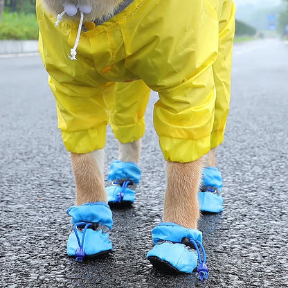 Zapatos Para Macota | Cuida Sus Patitas Con Amor
